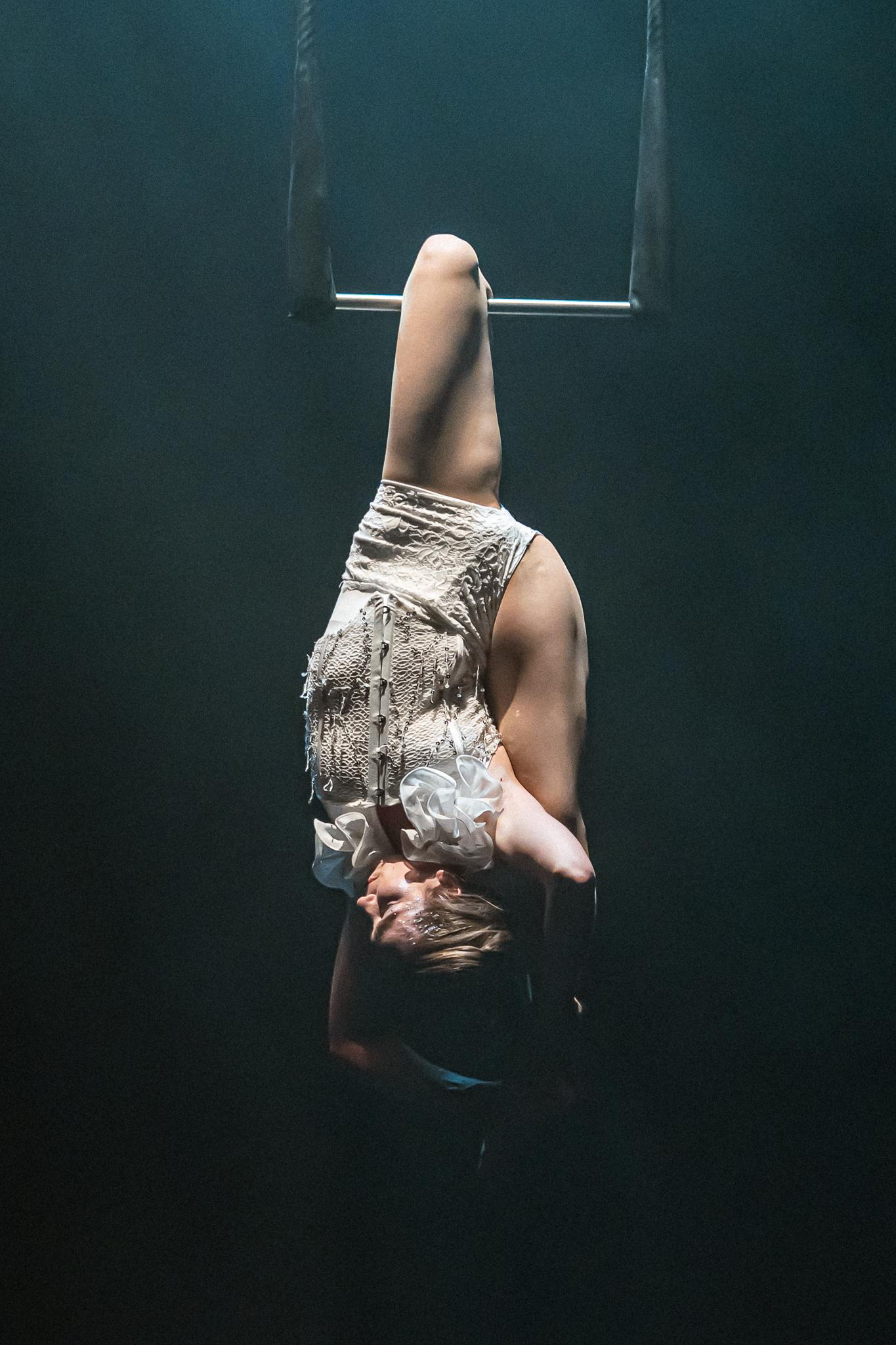 Aerial Trapeze - photo 2
