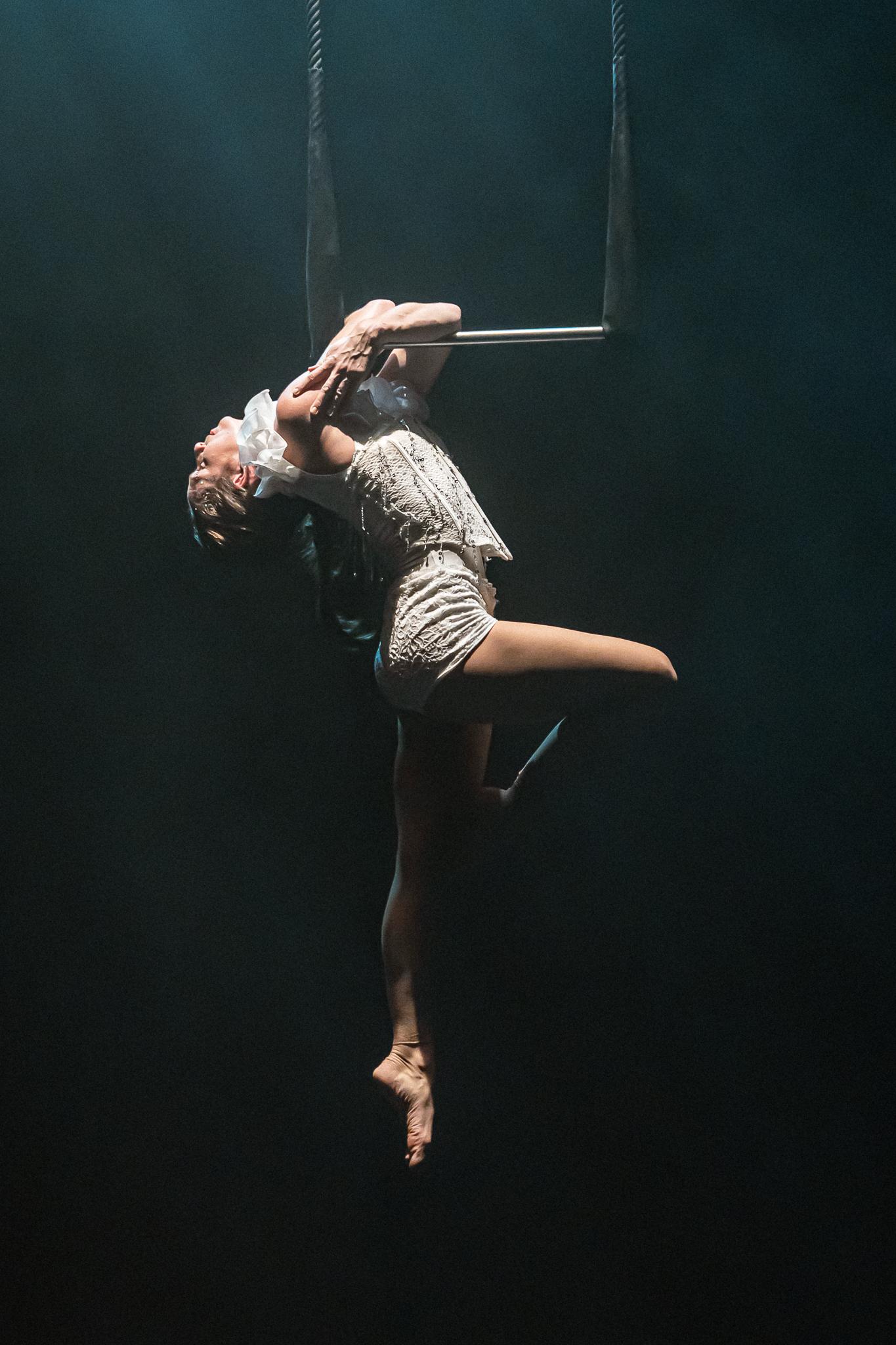 Aerial Trapeze - photo 4