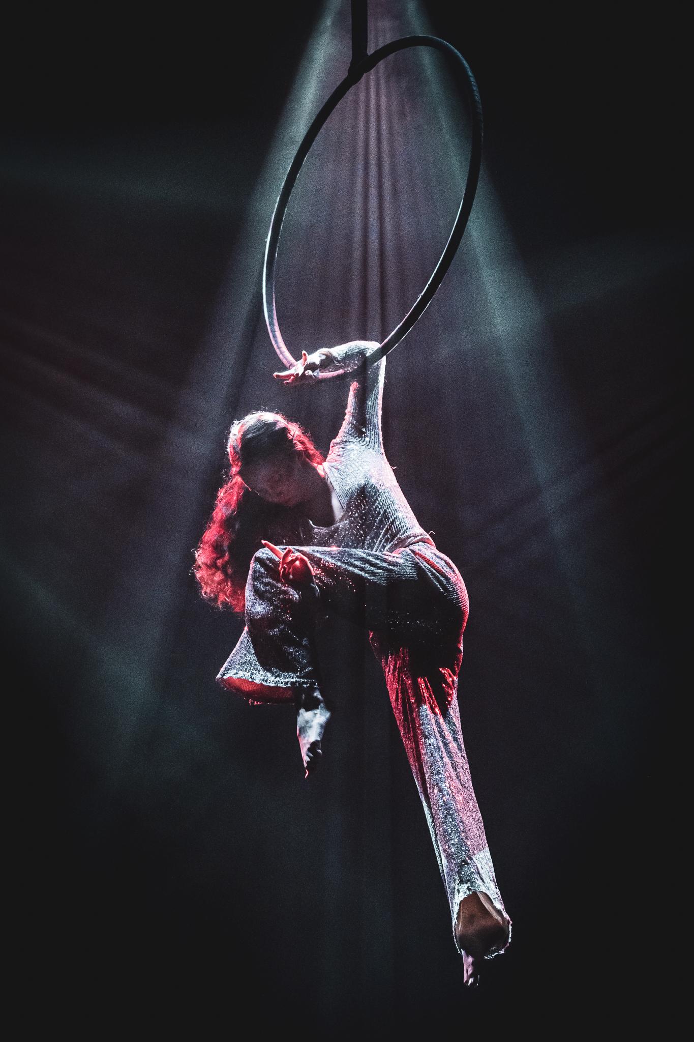 Aerial Hoop - Armagedon - photo 3