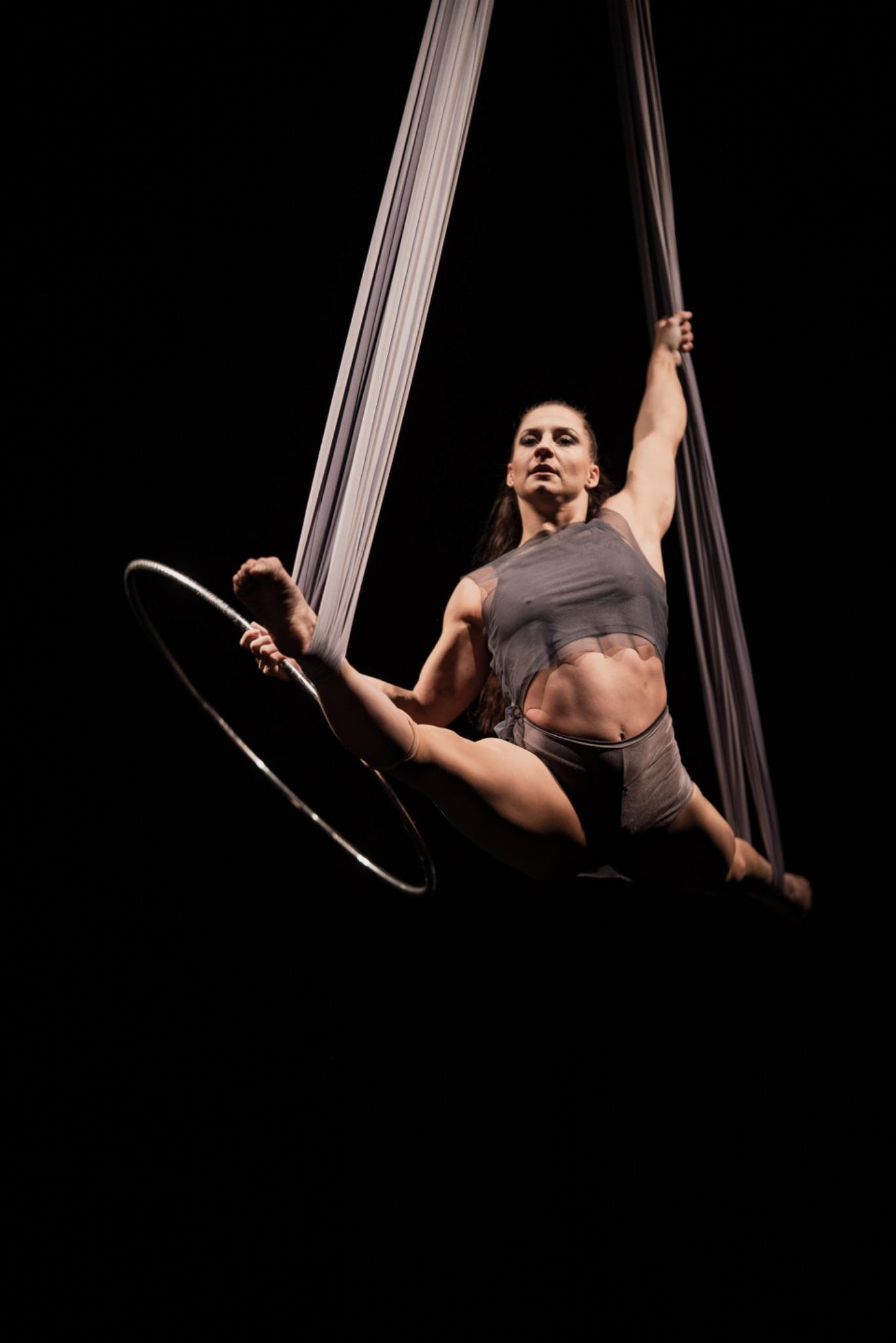 Aerial Silk & Hoop - photo 2