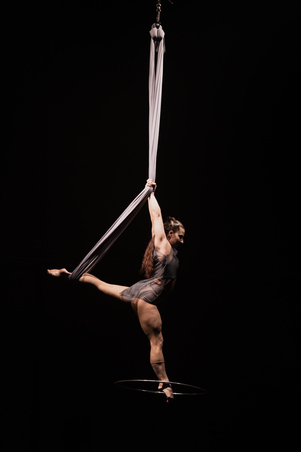 Aerial Silk & Hoop - photo 3