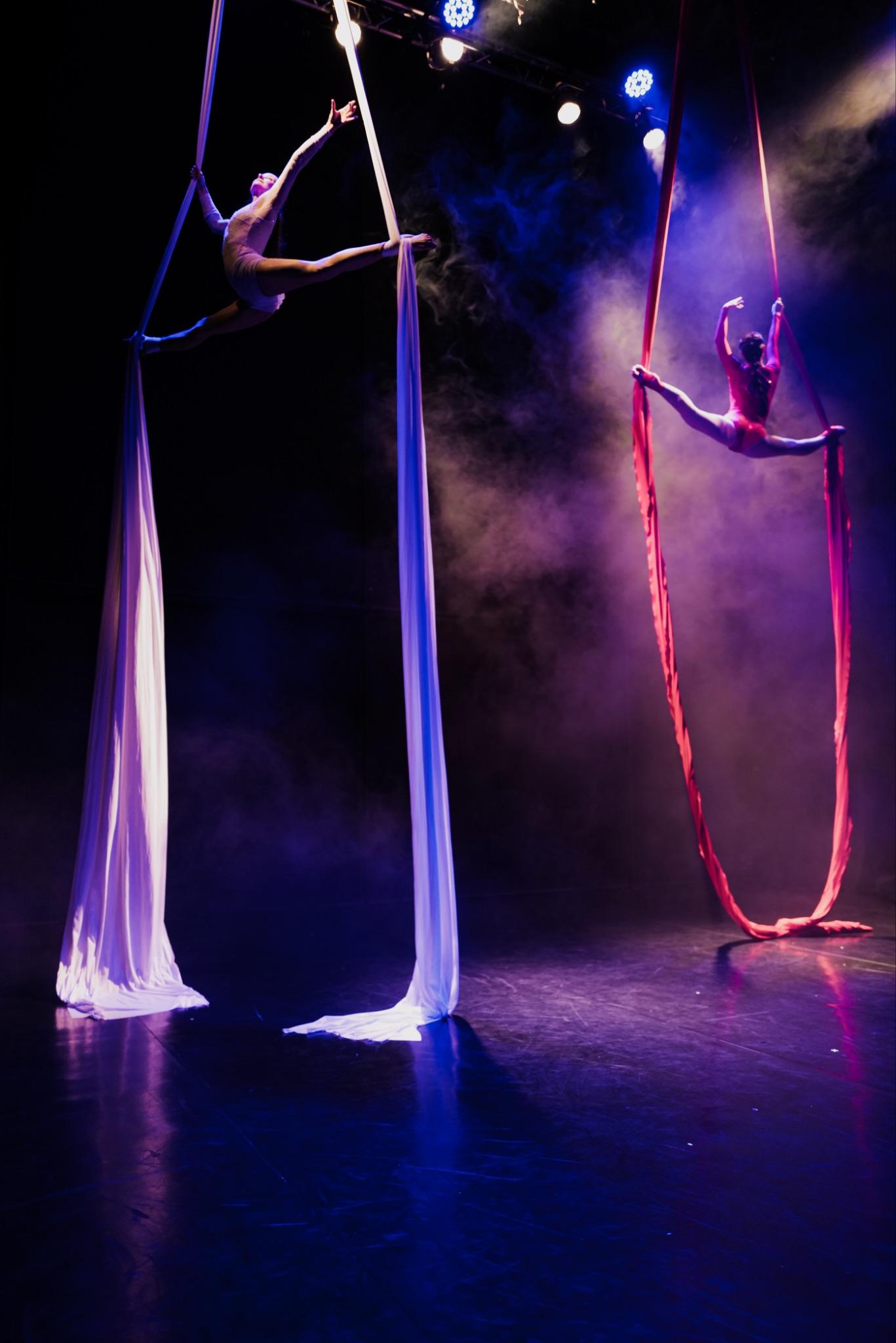 Aerial Silk - Duo - photo 2