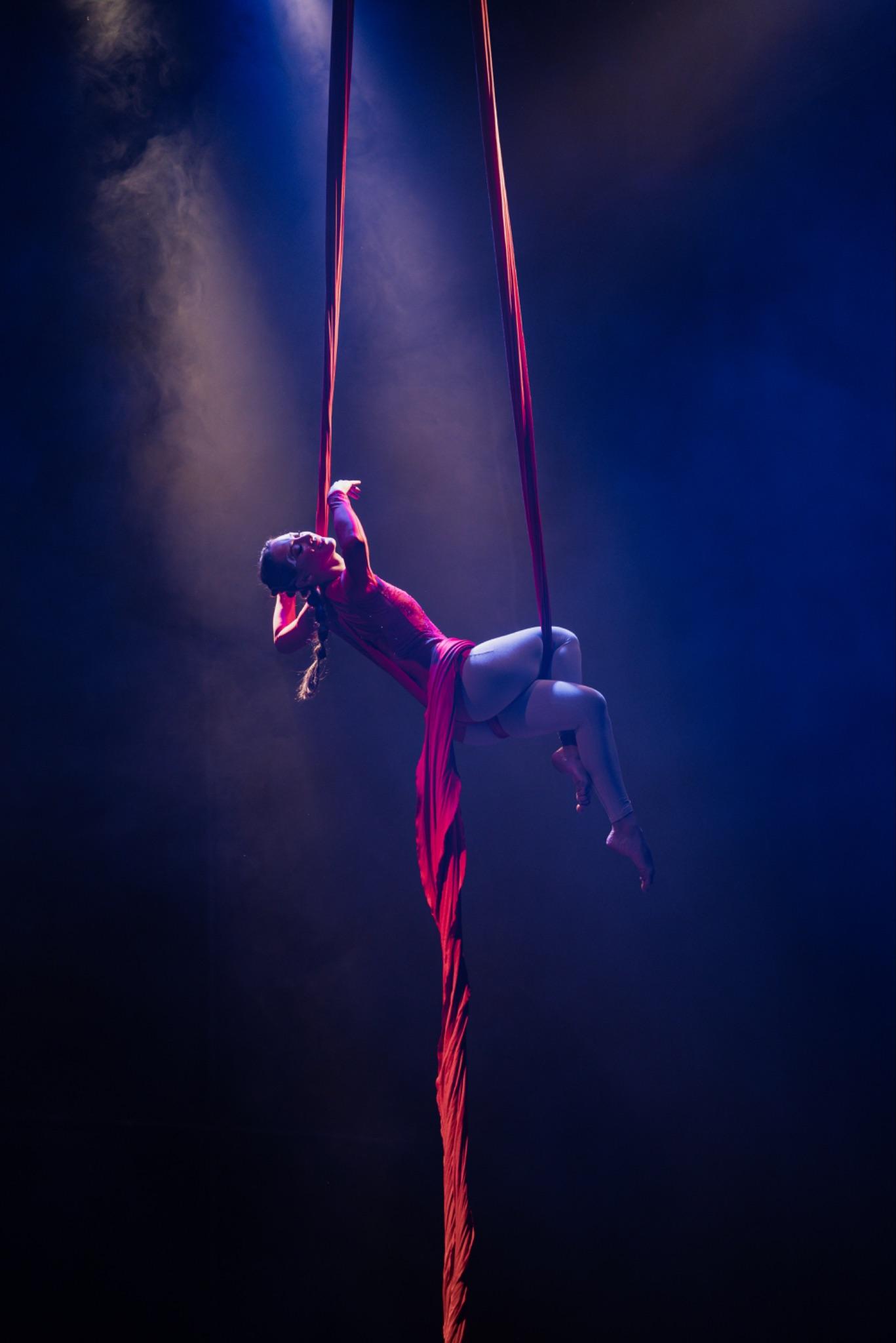 Aerial Silk - Duo - photo 3