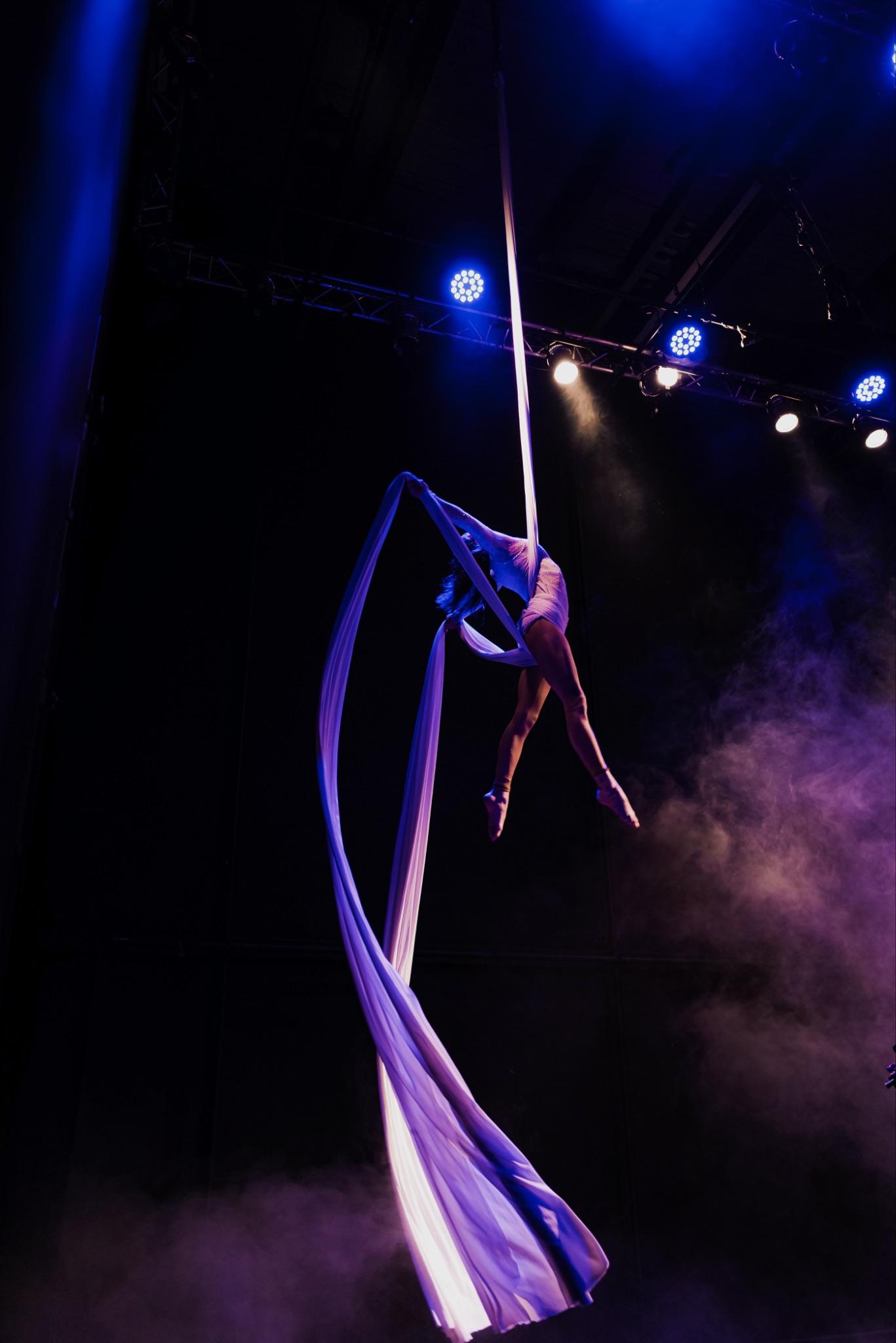 Aerial Silk - Duo - photo 4