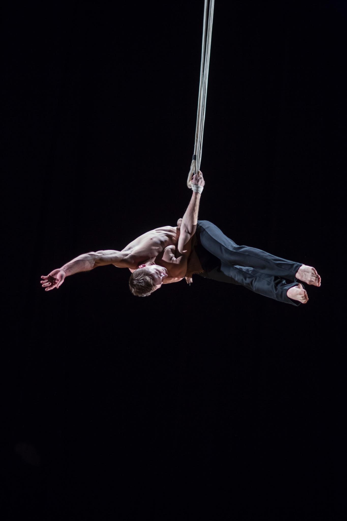 Aerial Straps - Single - photo 3