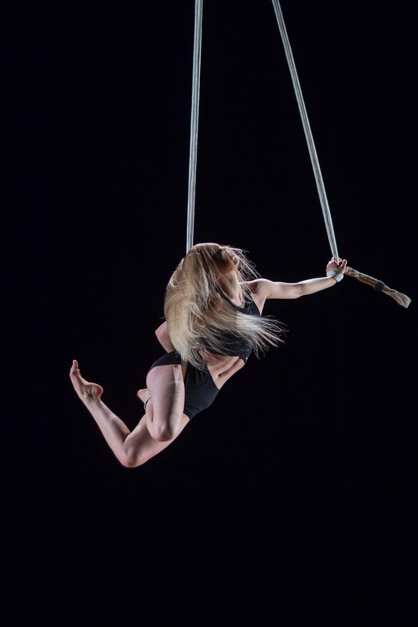 Aerial Straps - Single - photo 4