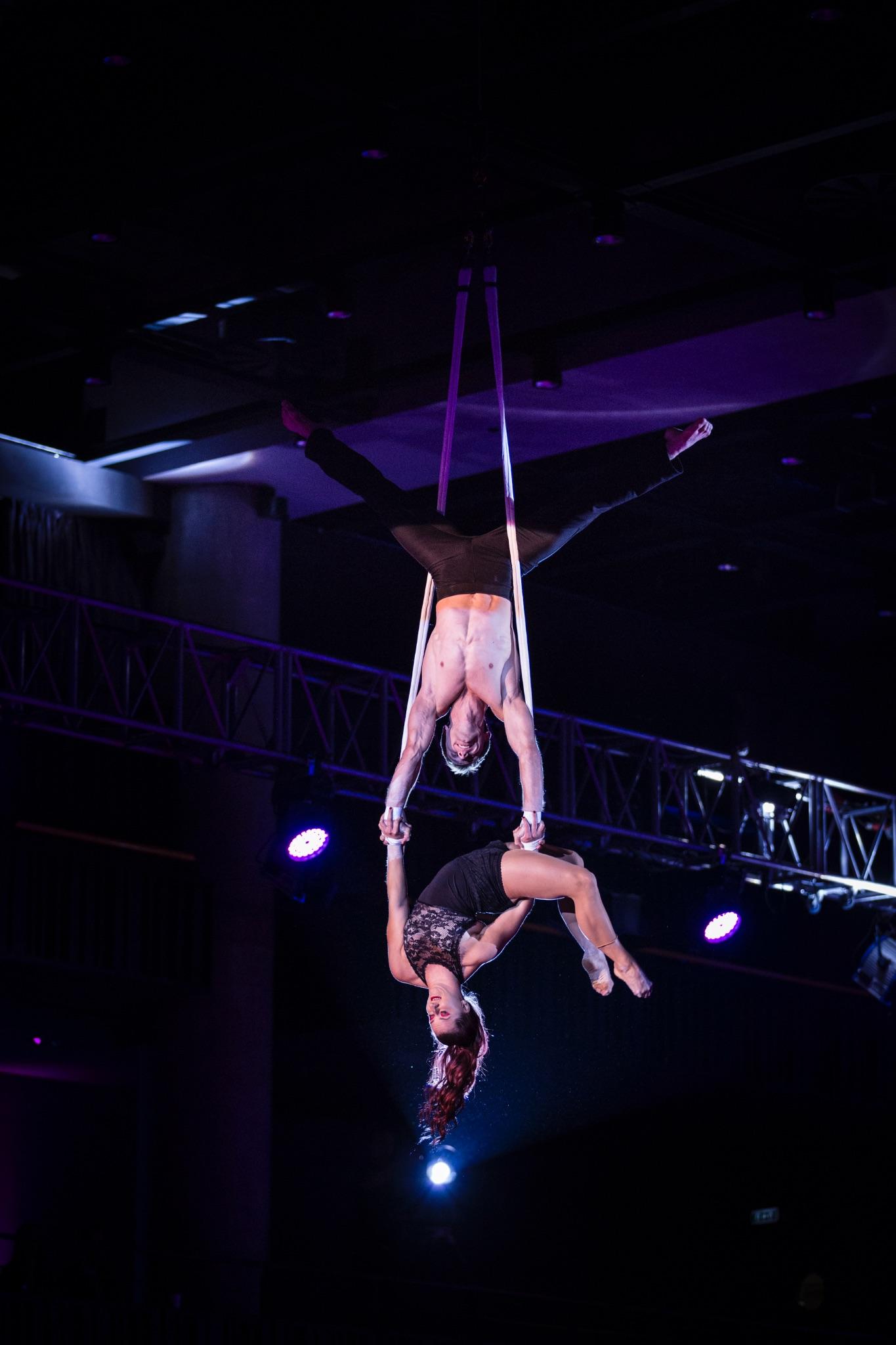 Aerial Straps - Duo Mix - photo 2
